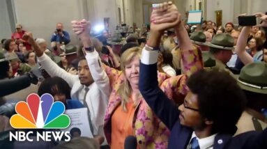 Two Black Tennessee lawmakers expelled over gun reform protests