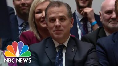 IRS agent asks for whistleblower protection in connection with Hunter Biden investigation
