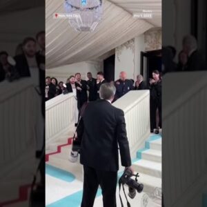 A cockroach strutted alongside celebrities on the #MetGala carpet in #NYC.