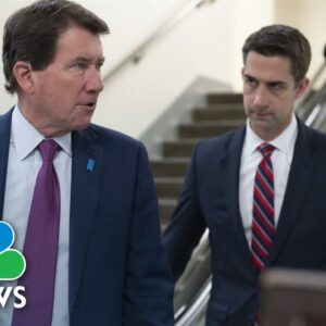 Dozens of GOP Senators oppose debt ceiling increase without spending cuts