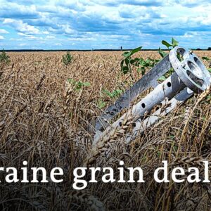 EU strikes deal to end import ban on Ukrainian grain | DW News