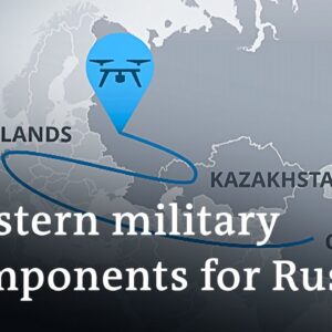 How EU companies evade sanctions against Russia | Business Special