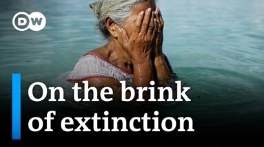 Rising sea levels: Is there any hope for the inhabitants of Tuvalu? | DW News