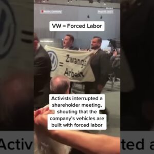 #Protestor throws #cake at #Volkswagen chairman