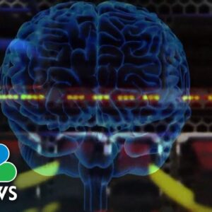 Tech execs meet with Vice President Harris about AI development