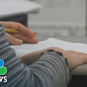 Transgender Florida teachers plan exit due to pronoun bill