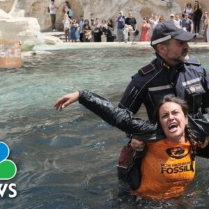 Watch: Climate activists pour black liquid into Rome’s Trevi Fountain