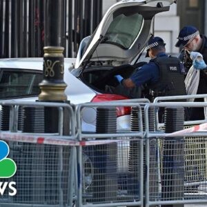 Watch: Passersby panic as car crashes into gates of Downing Street