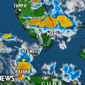 Parts of Florida under flood alert as Arlene brings heavy wind and rain