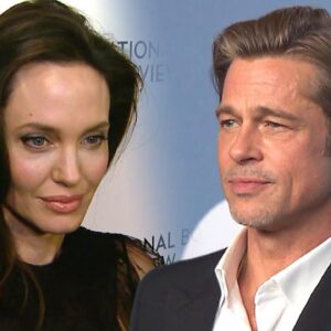 Brad Pitt and Angelina Jolie: Inside Legal Battle Over Their Winery