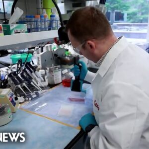 Eli Lilly releases new data from potentially game-changing weight loss drug trial