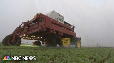 AI meets agriculture with new farm machines to kill weeds and harvest crops