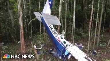 Four children found alive after plane crash in Amazon jungle