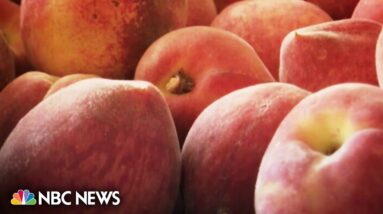 Georgia peaches in short supply this season due to climate change