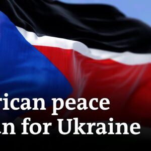 Analysts question African nations’ motivation as mediators in the Ukraine war | DW News