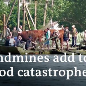 Landmines dislodged by flood pose threat in Ukraine | DW News