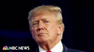 Legal experts weigh in on criminal case against Trump