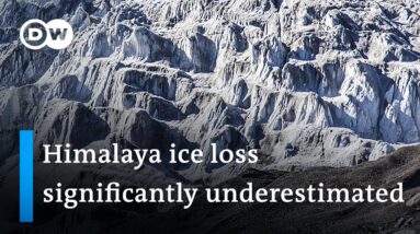 Himalaya's melting glaciers: freshwater could be curtailed for nearly 2 billion  | DW News