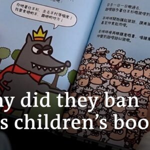 Hong Kong three years after the "National Security Law" came into force | DW News