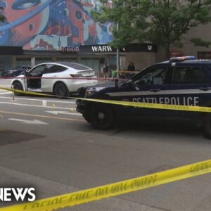 Pregnant woman fatally shot while stopped at Seattle intersection