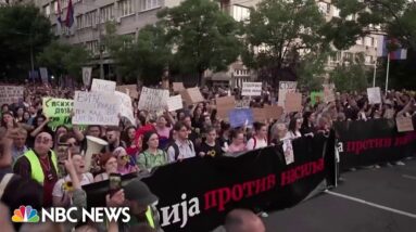 Serbia passes new gun control laws after mass school shootings in May