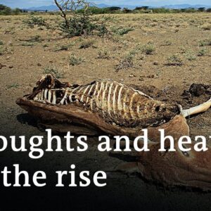 The challenges of intensifying droughts and extreame heat | DW News