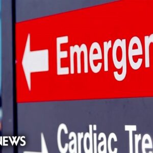 Psychiatric hospitals face staff and bed shortages as Americans wait for care