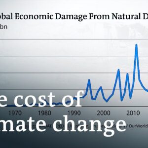 UN climate talks set to start in Germany: What's on the agenda? | DW News