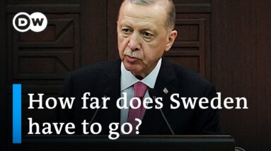 Why Erdogan is still blocking Sweden's NATO bid | DW News