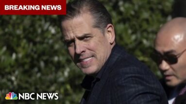 BREAKING: Hunter Biden plea deal in jeopardy after disagreement over gun charge