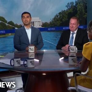 Panel: Tim Scott grows campaign as ‘the perfect Republican’ while DeSantis falters