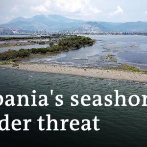 How rising sea levels threaten Albania's economy and biodiversity | Focus on Europe