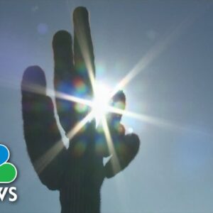 Arizona county confirms 7 heat deaths in 7 days