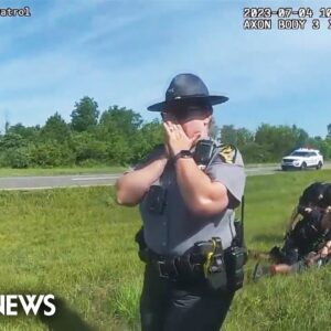 Bodycam captures police dog attacking Black truck driver after pursuit