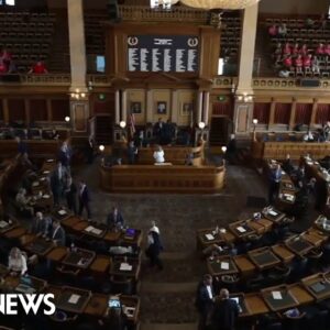 Iowa passes bill banning abortions after ‘cardiac activity’ is detected