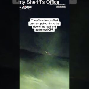 Man stunned by deputy before being fatally hit by car