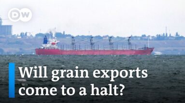 Moscow: All Ukraine-bound ships are potential targets | DW News