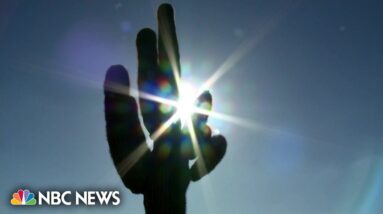 84 million Americans in triple digit temperatures as summer heat wave continues