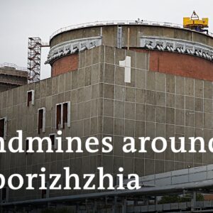 IAEA finds anti-personnel landmines on periphery of Zaporizhzhia nuclear power plant | DW News