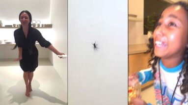 North and Kim Kardashian FREAK OUT After SPIDER Crashes Their TikTok