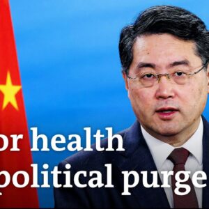 How will China's foreign policy change after the removal of Qin Gang as minister? | DW News