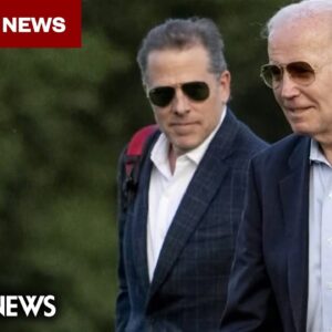 BREAKING: President Biden acknowledges 7th grandchild, daughter of Hunter