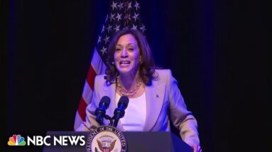 Vice President Harris speaks out against Florida Board of Education over new curriculum