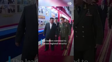 Russia's Defense Minister Shoigu visits North Korea | DW News