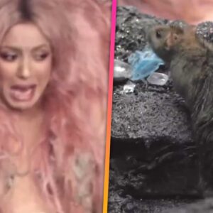 Shakira SHRIEKS as Rat Crawls Toward Her During Music Video Shoot