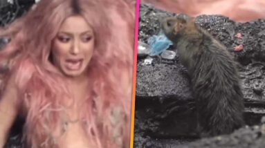 Shakira SHRIEKS as Rat Crawls Toward Her During Music Video Shoot