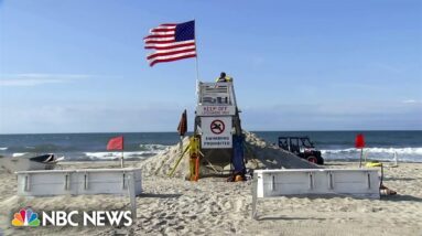 Five suspected shark attacks off of New York beaches over the past two days