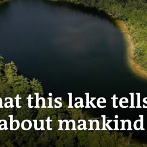 The moment when mankind began to irreversibly change the earth | DW News