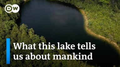 The moment when mankind began to irreversibly change the earth | DW News