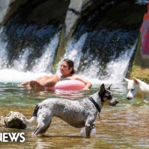 This Morning’s Top Headlines – July 7 | Morning News NOW